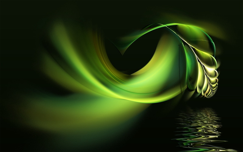 shadow, form, plants, black, 1080P, connection