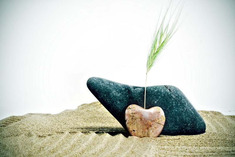 plant, spike, rye, 2K, wheat, full screen, fullscreen, sand, background, stones, stone, HD, form, mood, widescreen, gray, heart