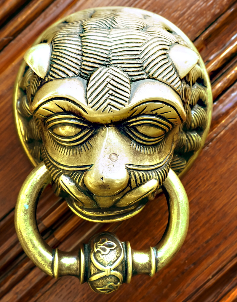 antique, door, animal wildlife, 2K, design, wood - material, ornate, animal, doorknocker, sculpture, craft, animal representation, door handle, representation