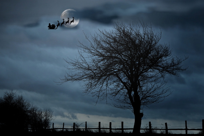 santa with sleigh, no people, santa claus, tree, outdoors, full, santa before the moon, mid-air, sleight, storm, water, sky, overcast, nature, reindeers