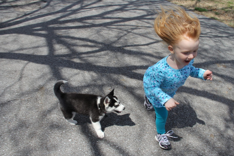 domestic animals, blond hair, domestic, black, mammal, full length, one animal, pets, white, people, youth, smile, road, youngster, casual clothing, outdoor