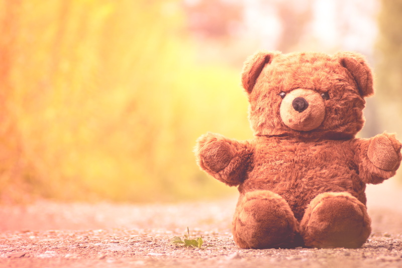 sweet, toys, brown, furry teddy bear, bears, photography, button eyes, teddy Bear, cuddly, softness, representation, fur, mammal, focus, animal representation