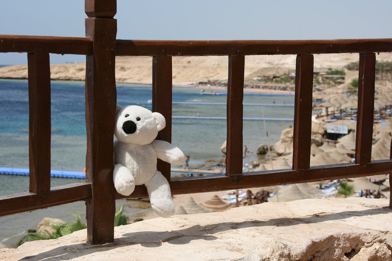 stuffed toy, sea, polar, outdoors, land, water, vacations, summer, Egypt, railing, mood, cute, bear, animal representation, beach, art and craft, focus on foreground