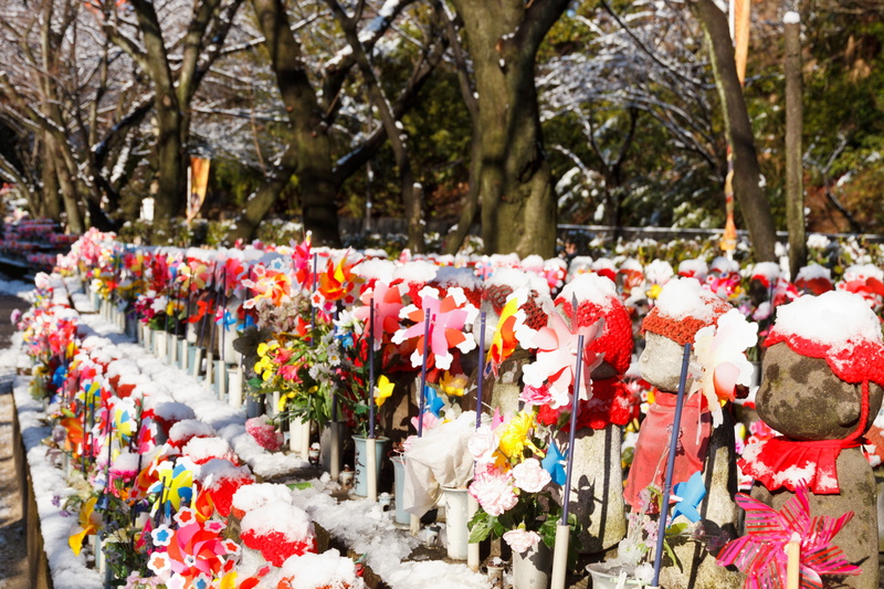 winter, city, religion, dead, park - man made space, day, asia, flowering plant, snow, nature, grave, plant, beauty in nature, 4K, children, outdoors