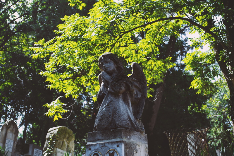die, mammal, human representation, sculpture, architecture, 4K, city, child, cemetery, statue, tree, broken, no people, autumnal, nature, autumn, dead