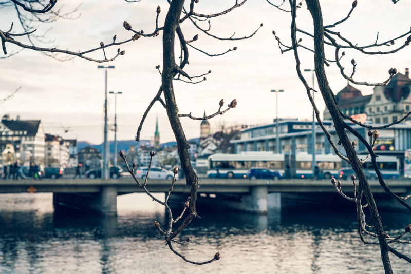 steeple, transportation, city, handrail, cityscape, nature, water, architecture, building, lake, river, tower, building exterior, outdoors, bridge - man made structure