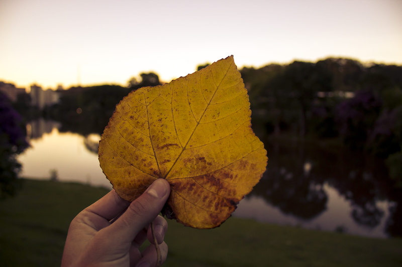 nature pics, human limb, outdoors, leisure activity, human hand, close-up, unrecognizable person, ufv, simplicity, 5K, lake, hand, one person, focus on foreground