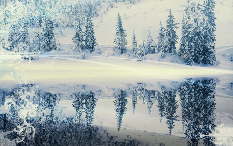 Tree, Forest, trees, green, Winter, Vector, 1080P, Artistic, pine