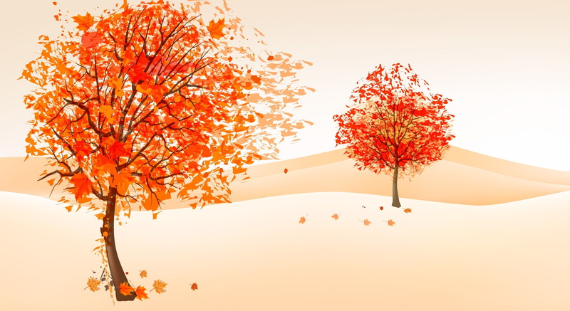 flowering plant, silhouette, illustration, tree, freshness, abstract, nature, multi Colored, scenics - nature, branch, forest, red, the wind, leaf, foliage