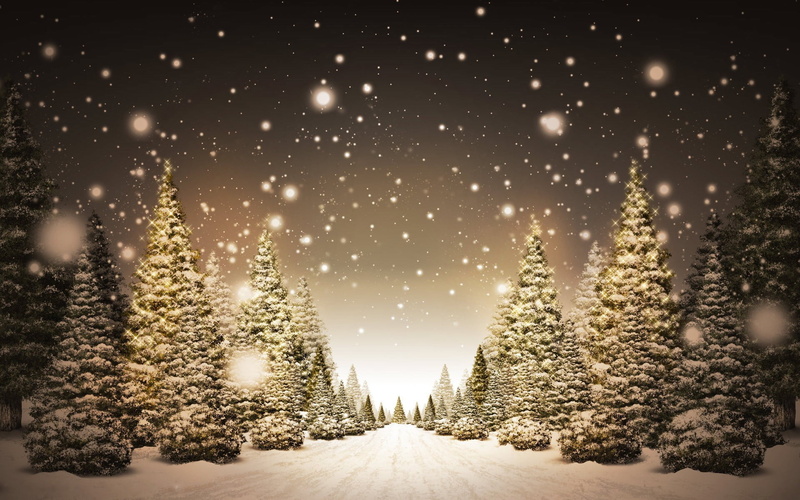 decoration, Trees, storm, christmas, white, plant, woodland, backgrounds, christmas Ornament, spruce Tree, winter, shiny, 1080P, december, abstract, pine Tree
