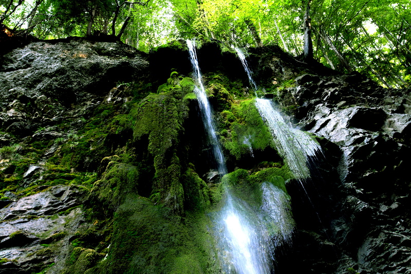 rock - object, flowing water, plant, blurred motion, no people, 5K, gruyères, falling water, moss, tree, motion, nature, switzerland, long exposure, solid