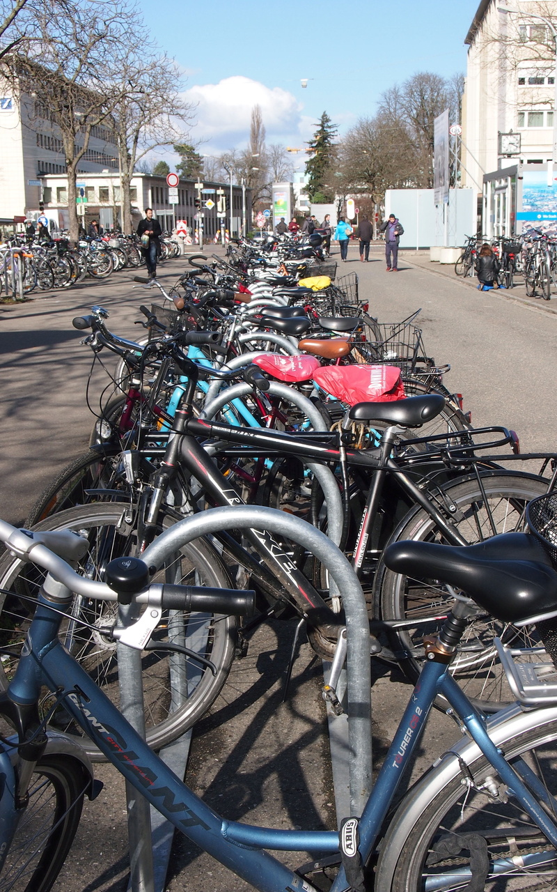 bike, bicycle, building, land vehicle, students, road, nature, outdoors, street, mode of transportation, architecture, building exterior, wheels, in a row