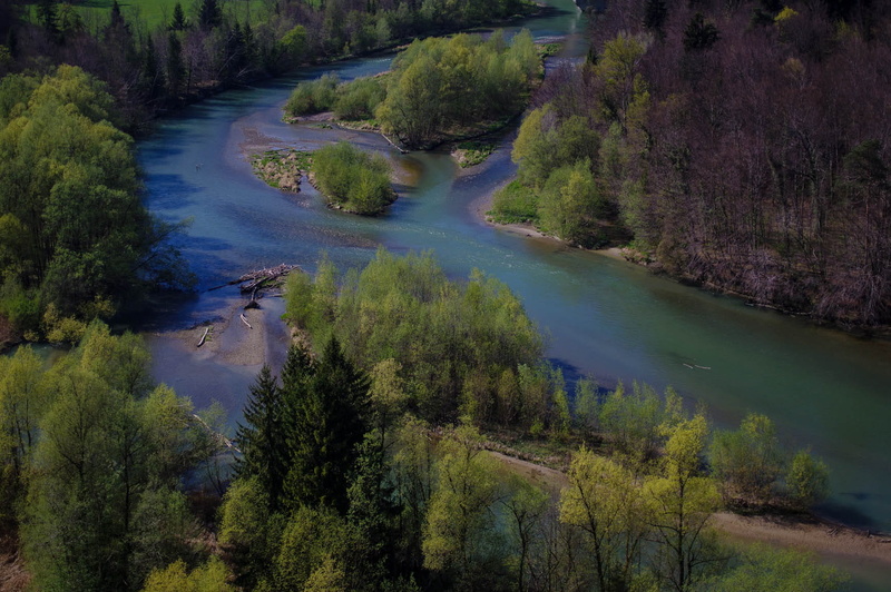 beauty in nature, tree, water, no people, land, tranquil scene, day, hauterive, sarine river, trees, river, green color, environment, 720P, high angle view