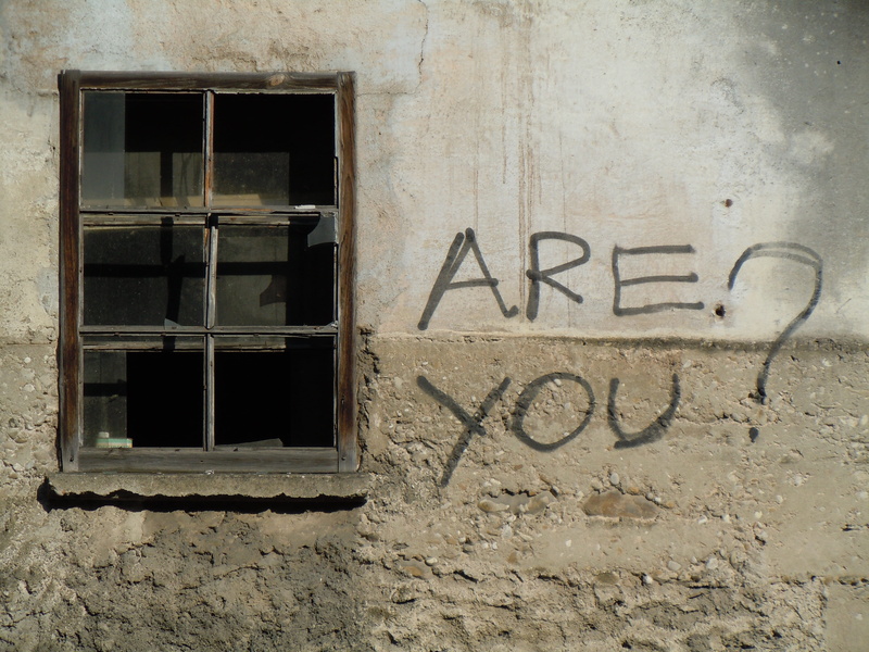 sign, outdoors, building, no people, window frame, you, text, western script, abandoned, weathered, switzerland, communication, built structure, are, graffiti
