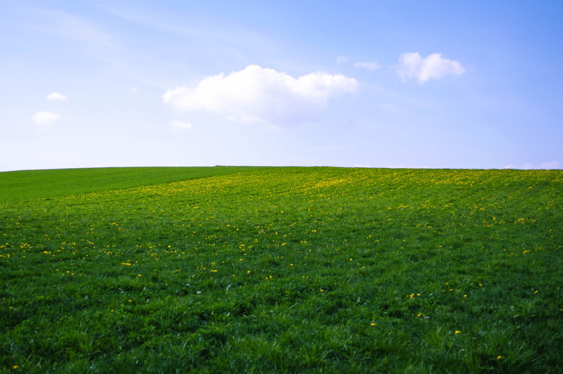 land, springtime, sun, green, environment, scenics - nature, nature, landscape, beauty in nature, rural scene, field, neuchâtel, horizon over land, switzerland