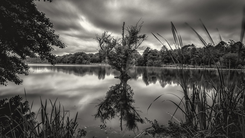 body, black and white, nature, ciel, lac, tree, river, outdoors, camping, lightroom, long exposure, nuages, white  tree, 4K, clouds, ponton, lake mirror