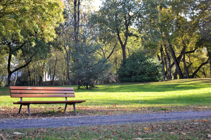day, beauty in nature, tranquil scene, plant, france, grass, park, nature, autumn, tranquility, park - man made space, bench, no people, forest, tree, la france