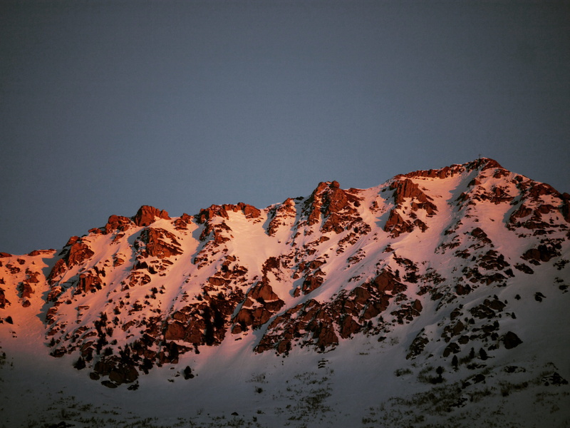 formation, beauty in nature, tranquility, fir, cold temperature, montain, tranquil scene, tree, remote, snowcapped mountain, sky, ice, plant, glacier, mountain range