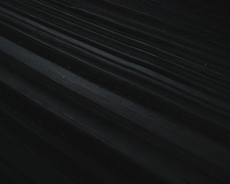 indoors, wood - material, wild, day, plank, abstract, striped, tronc, design, textured, hike, texture, 4K, discover, travel, full frame, tree, no people