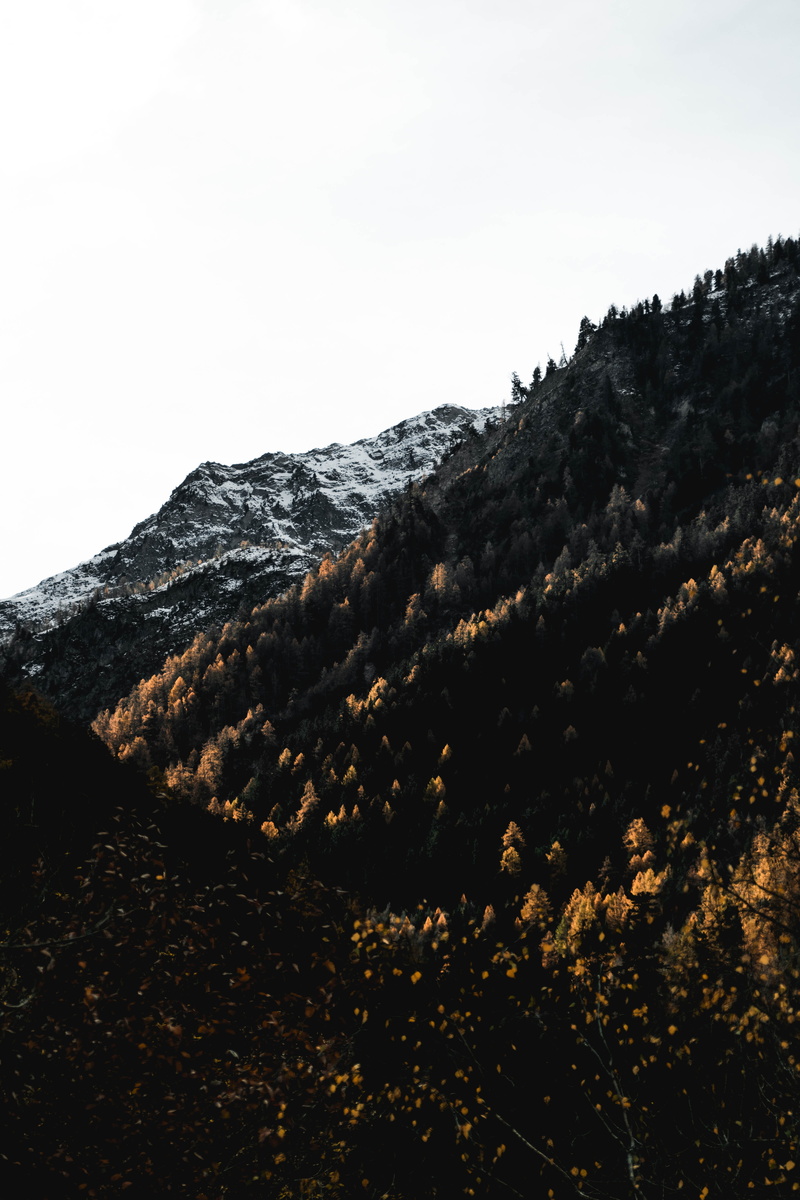 slope, peak, beauty in nature, copy space, forest, scenics - nature, tranquil scene, tree, 5K, hill, leuk, non-urban scene, clear sky, landscape, hiking