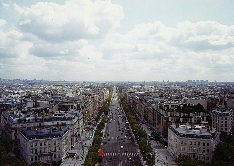 europe, animals, champs, france, champs elysees, 1080P, paris, elysees