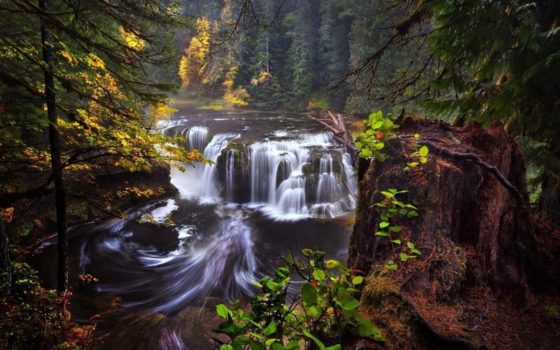 USA, Washington, California, 1080P, Lewis, River, Waterfalls, Forest, Autumn