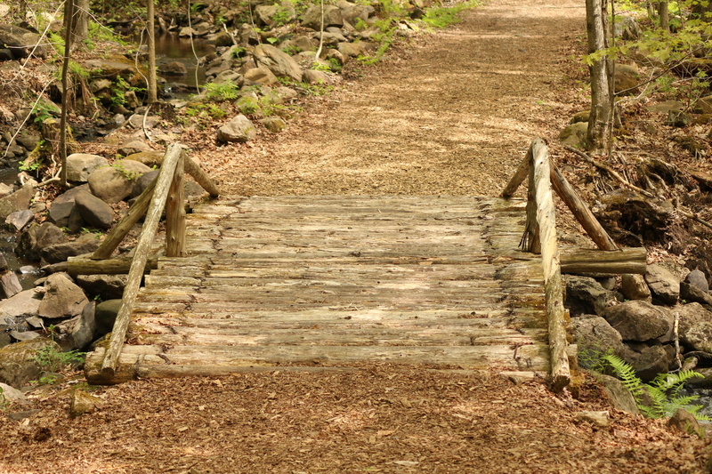 leaves, tree, source, plant, landscapes, forest, ravine, the way forward, trees, diminishing perspective, nature, land, fall, printemp, long, staircase