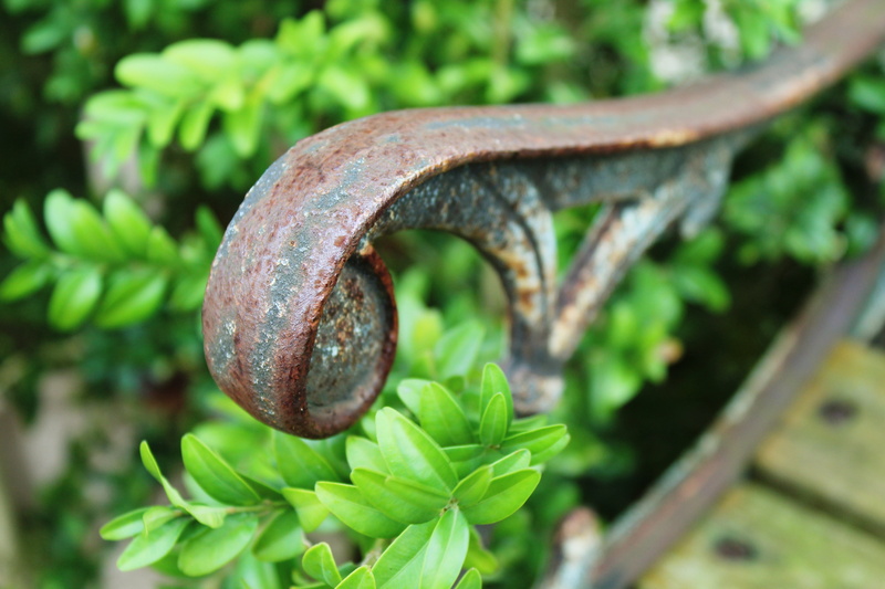 nature, food and drink, out, spiral, break, meditation, silent, weathered, armrest, 4K, click, bench, selective focus, growth, wooden bench, healthy eating