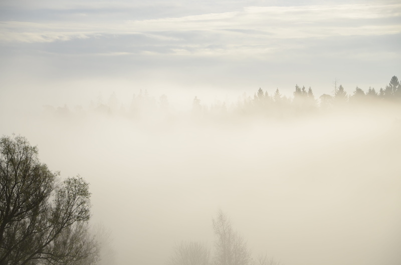 cold temperature, environment, light, weather, sky, hazy, plant, non-urban scene, foggy, mist, no people, outdoors, tree, mysterious, clouds, wood, 4K