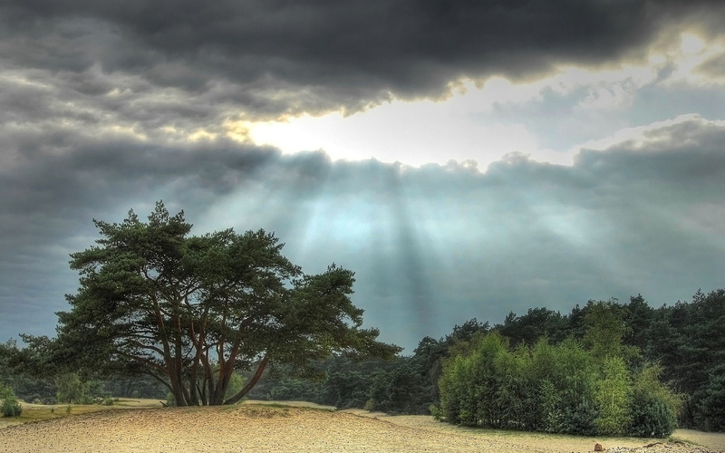 1080P, veluwe, stormclouds, sunrays, netherlands