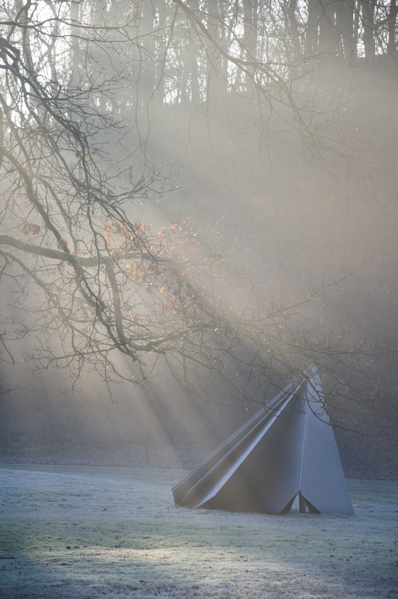 branch, cold temperature, fog, land, no people, plant, sunrays, winter, frost, water, nature, non-urban scene, otterlo, netherlands, modern art, sunbeam