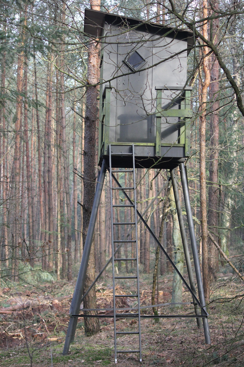 metal, willemsbos, nature, tranquility, ruined, branch, abandoned, hunting lodge, tree, ladder, woodland, outdoors, forest, architecture, old, trunk, 5K