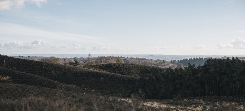 day, sky, scenics - nature, panorama, architecture, 5K, plant, environment, growth, field, nature, beauty in nature, tranquility, forest, trees, posbank