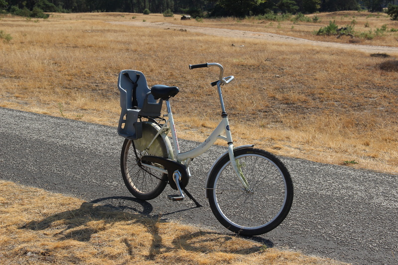 side view, shadow, land vehicle, day, outdoors, land, no people, travel, road, footpath, mode of transportation, cycling, national park, parking, transportation
