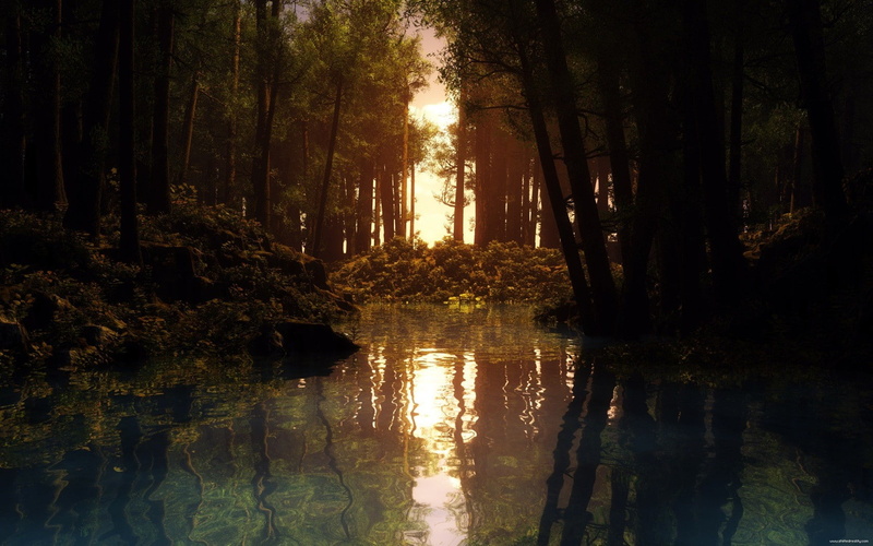 720P, reflection, sunset, creeks, forest, CGI