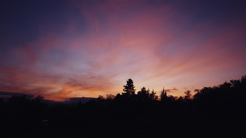 clouds, trees, plant, tranquility, photography, dramatic sky, scenics - nature, landscape, beauty in nature, sunset, orange color, coniferous tree, silhouette