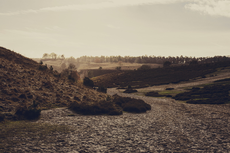 non-urban scene, walking, no people, posbank, growth, cloud - sky, field, travel, path, sunrise, sky, nature, day, sun, wander, scenics - nature, tranquility