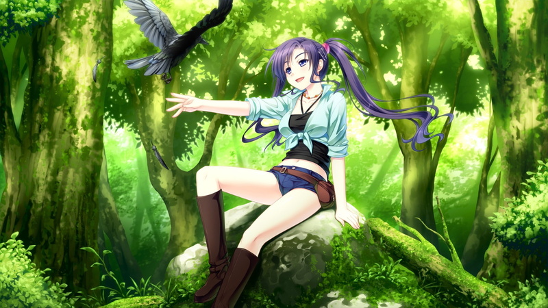 amp sora no mukou de sakimasu you ni, 1080P