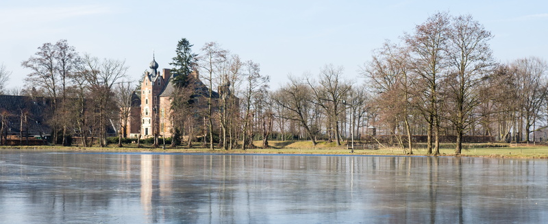 veluwe, tree, castle, tranquility, architecture, day, ice, beauty in nature, cannenburch, waterfront, scenics - nature, water, reflection, vaassen, lake