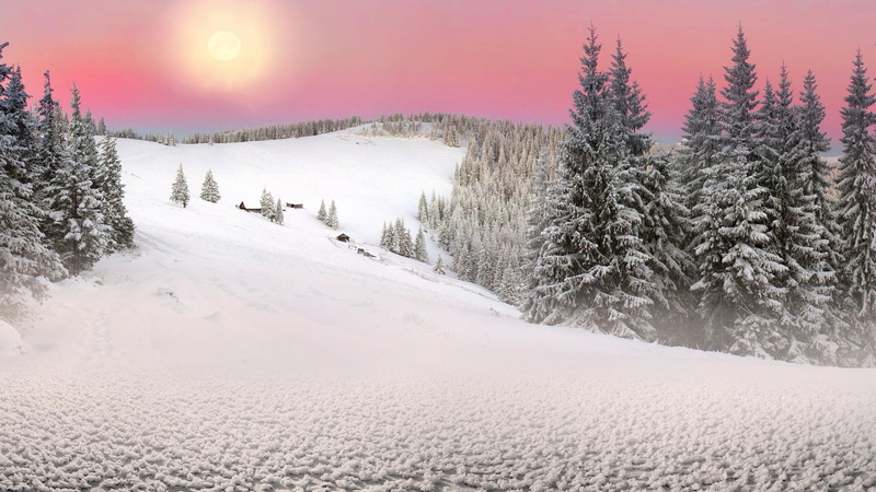 environment, landscape, pine tree, tranquil scene, outdoors, europe, land, frost, freezing, cold temperature, mountain, coniferous tree, trostianets, tree