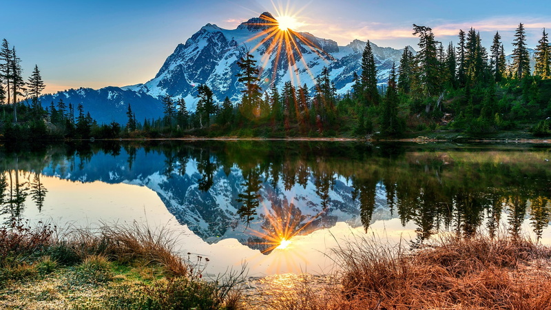 landscape, forest, sunlight, no people, tree, green, sunbeam, beauty in nature, trees, outdoors, lens flare, non-urban scene, water, tranquil scene, scenics - nature