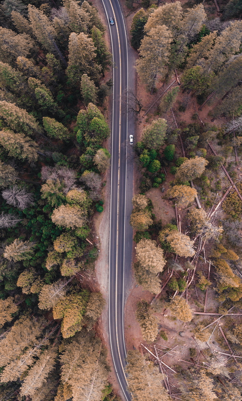 eye, photo, landscape, woodland, yosemite valley, nature, rail transportation, bird, connection, high angle view, travel, road, mode of transportation