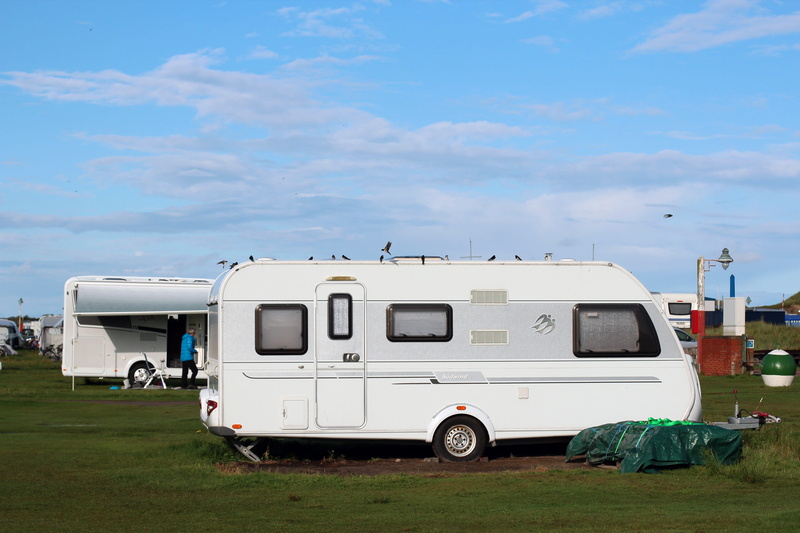 go away, sleep, day, motor vehicle, van - vehicle, parking, swallows, green, blue, travel, truck, land vehicle, birds, sky, cloud - sky, 5K, caravan, car