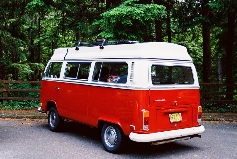 motor vehicle, plant, transportation, road, 2K, white, volkswagen, van - vehicle, nature, vehicle, near, mode of transportation, travel, samba, no people