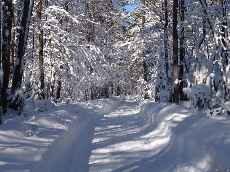 freshness, covering, road, trees, no People, land, snow, backgrounds, rural Scene, snowcapped mountain, white, season, scenics - nature, landscape, non-Urban Scene