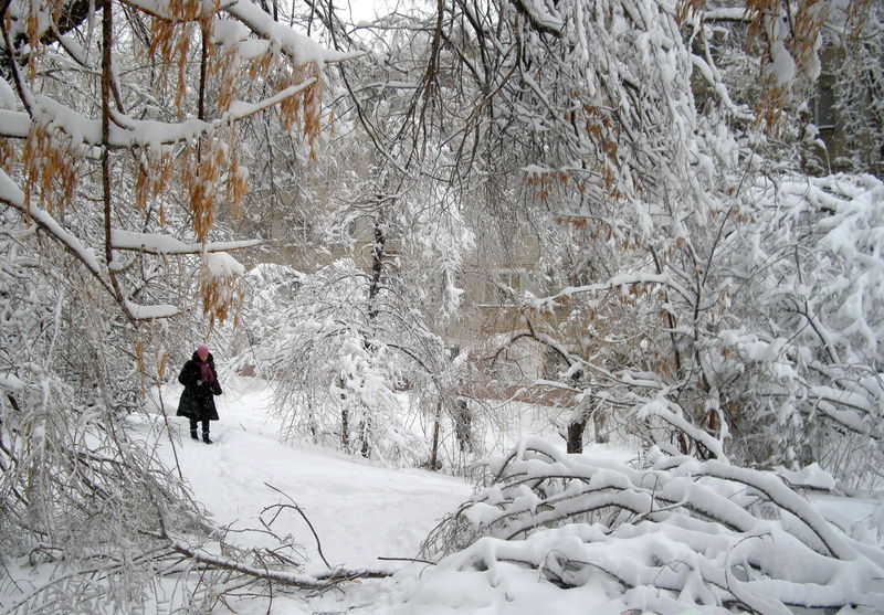 january, ice, outdoors, bare tree, walk, one Person, footpath, non-Urban Scene, leisure activity, covering, park, scenics, tree, snow, extreme weather