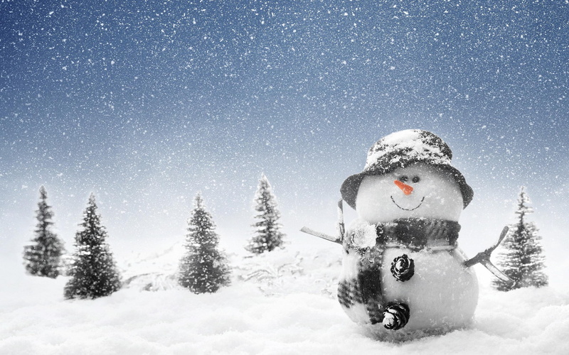 2K, snowman, winter, nature
