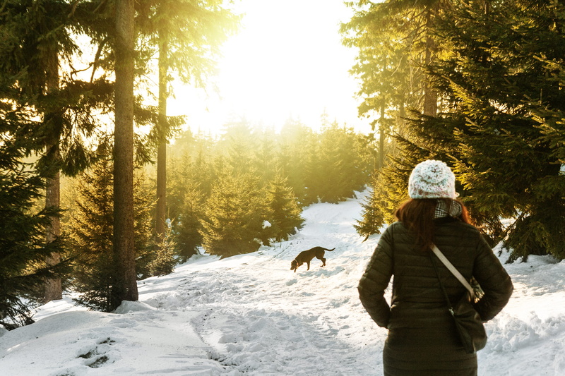 pine trees, leisure, weather, woman, recreation, person, sunny, adventure, rear, adult, trees, daylight, forest, beauty in nature, winter landscape, fir trees