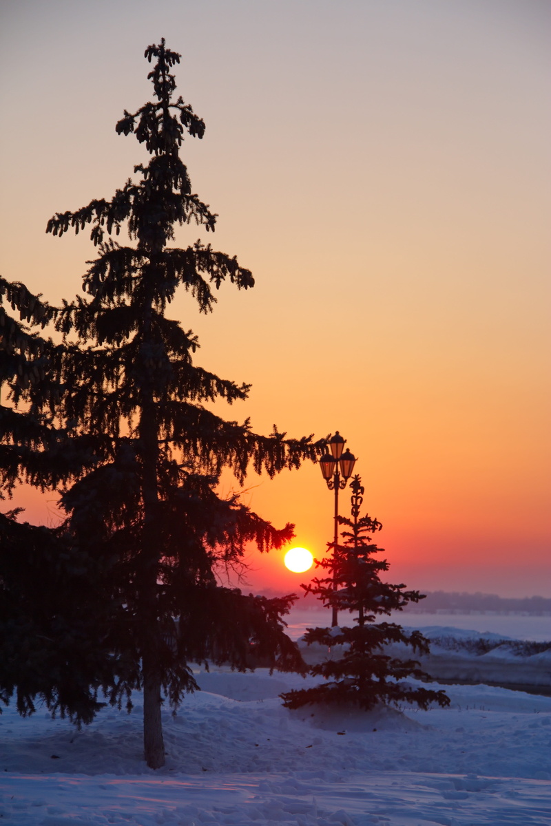 sun, snow, bright, idyllic, landscape, 5K, december, branches, sunset, sea, year, wood, ice, sunny, sunlight, tranquility, tree, scenery, sky, forest