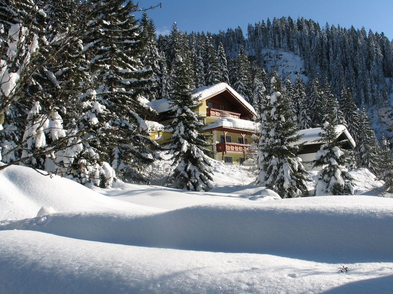 hotel, trees, snow, 720P, house, coniferous, snowdrifts, fur-trees
